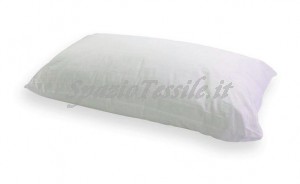 Guanciale Silversoft